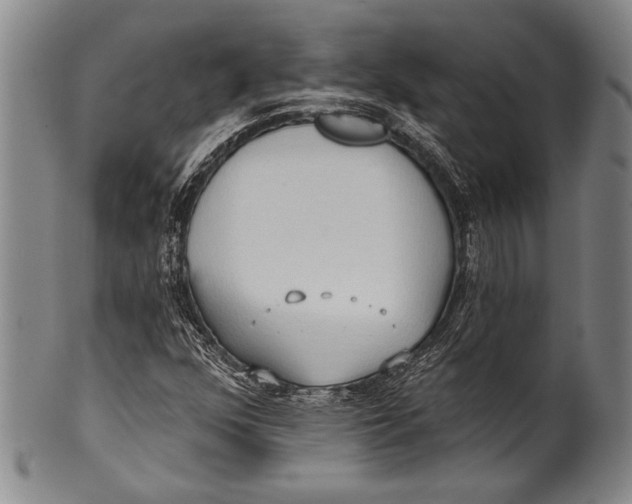 X0000100331352200806261252