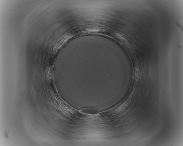 X0000100331353200806261252