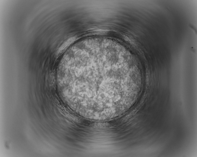 X0000100331354200806261252