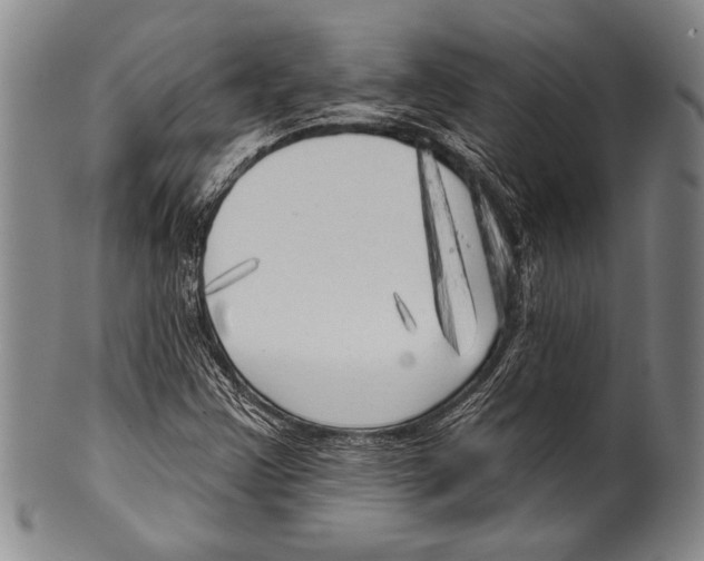 X0000100331355200806261252