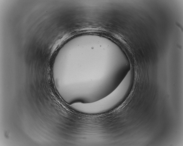 X0000100331357200806261251