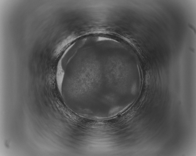 X0000100331359200806261251