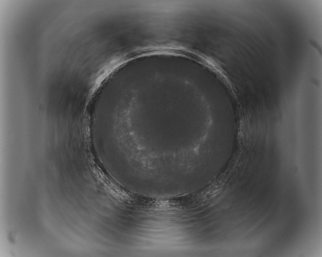 X0000100331360200806261251