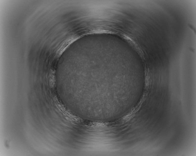 X0000100331361200806261251