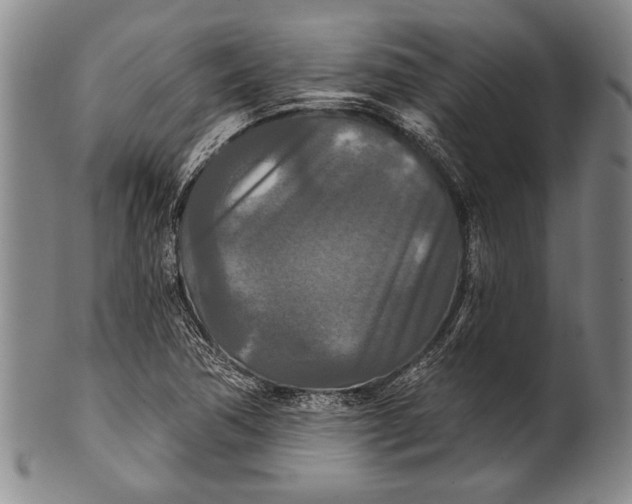 X0000100331362200806261251