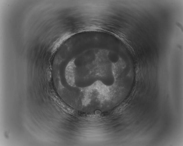 X0000100331363200806261251