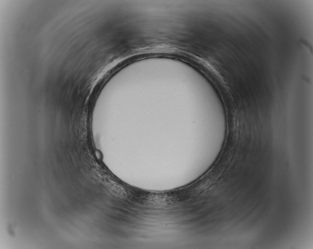 X0000100331364200806261251