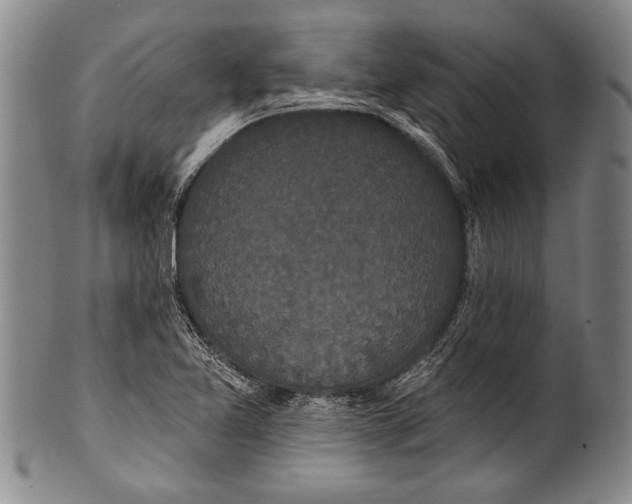 X0000100331365200806261251