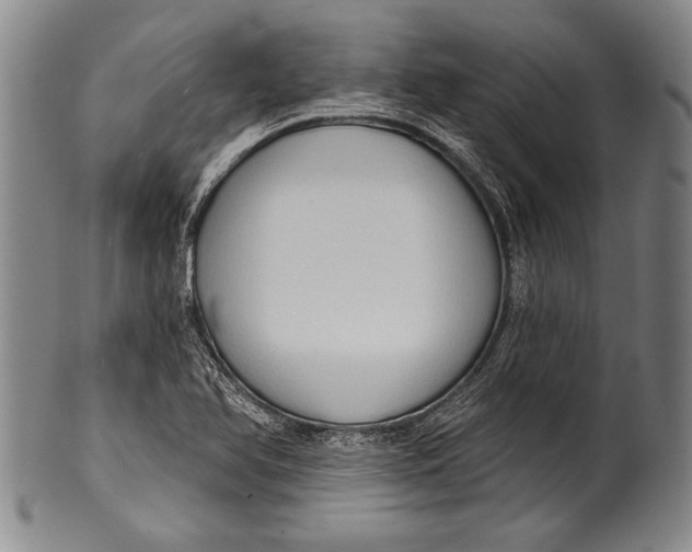 X0000100331366200806261251