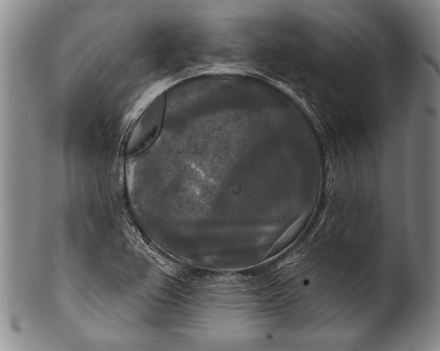 X0000100331367200806261251