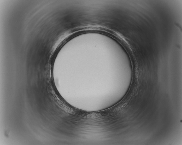 X0000100331368200806261251