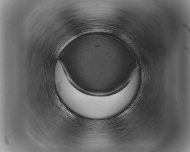 X0000100331369200806261251