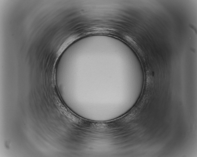 X0000100331370200806261251