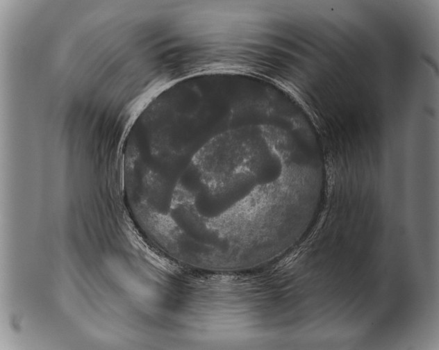 X0000100331371200806261251