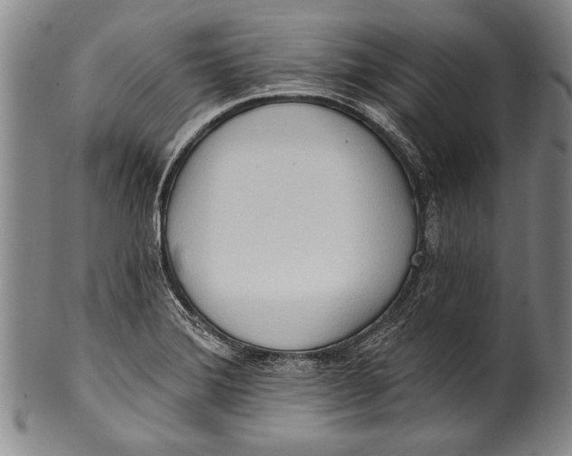 X0000100331372200806261251