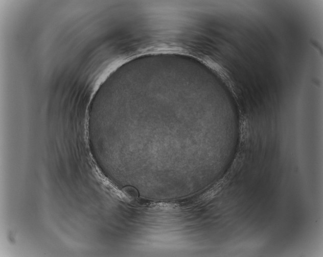 X0000100331374200806261251