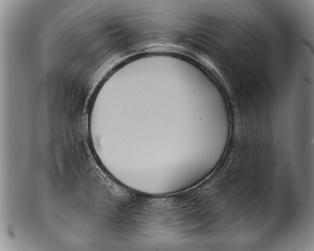 X0000100331376200806261251