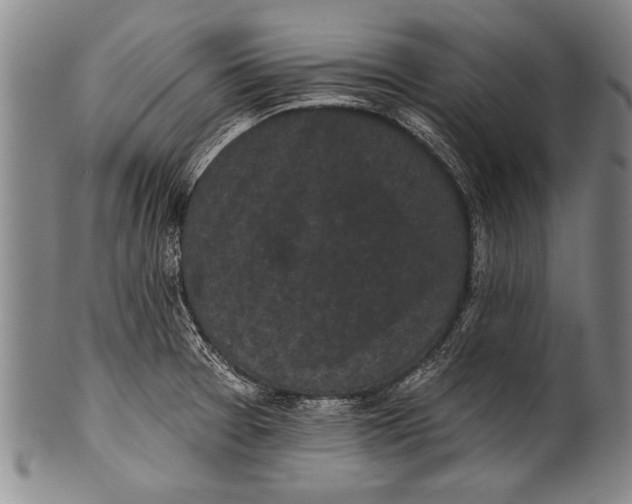 X0000100331377200806261251