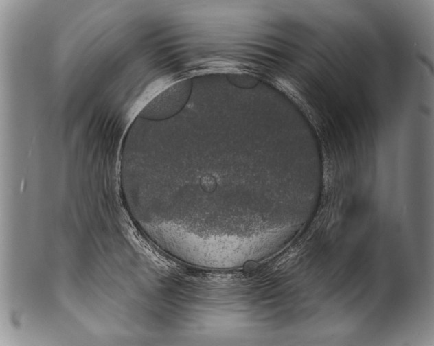 X0000100331378200806261251