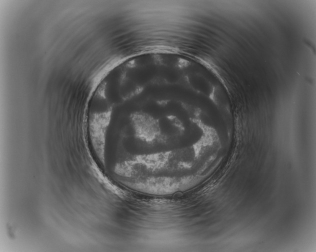 X0000100331379200806261251