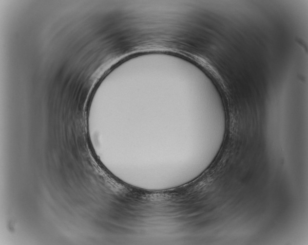 X0000100331380200806261251