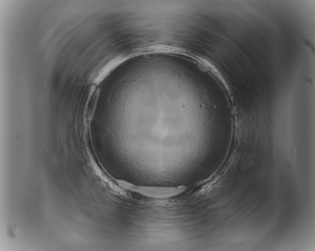 X0000100331381200806261251