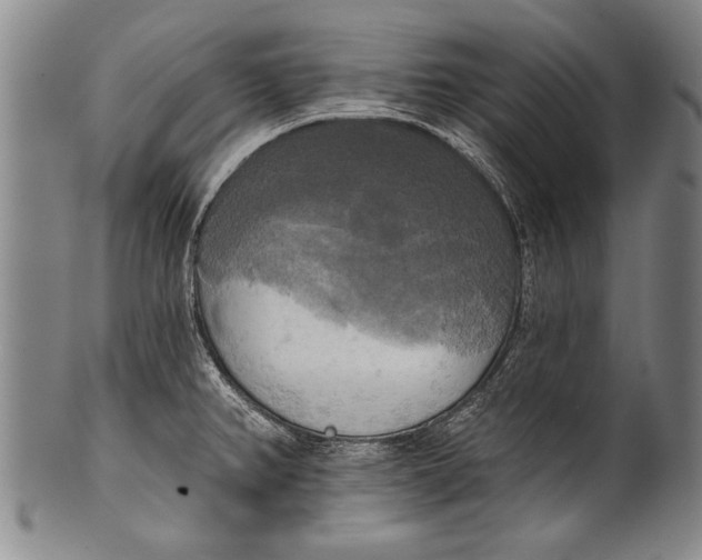 X0000100331382200806261251