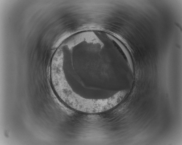 X0000100331383200806261251