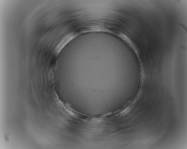 X0000100331385200806261251