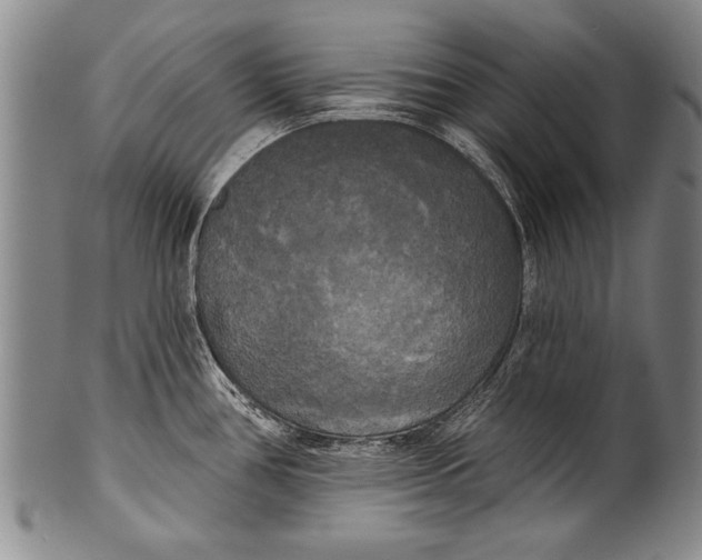 X0000100331386200806261251