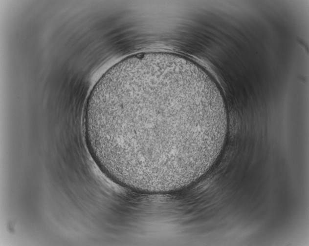 X0000100331387200806261251