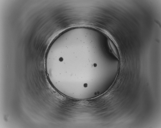 X0000100331388200806261251