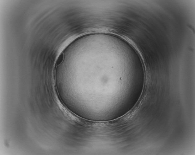 X0000100331389200806261251