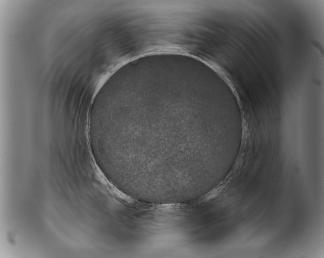 X0000100331390200806261251