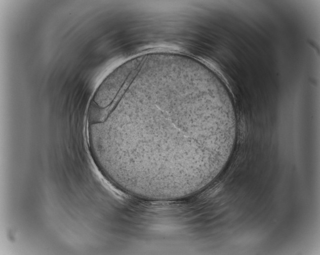 X0000100331391200806261251