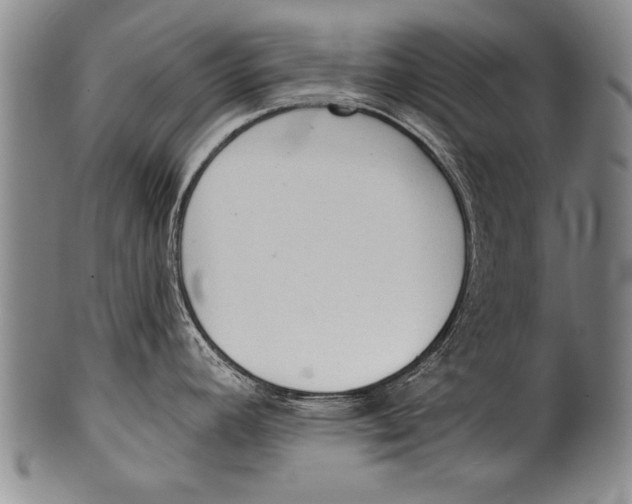 X0000100331392200806261251