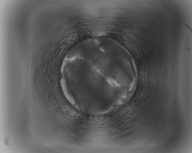 X0000100331393200806261250