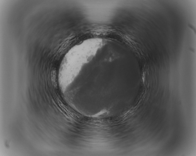 X0000100331396200806261250