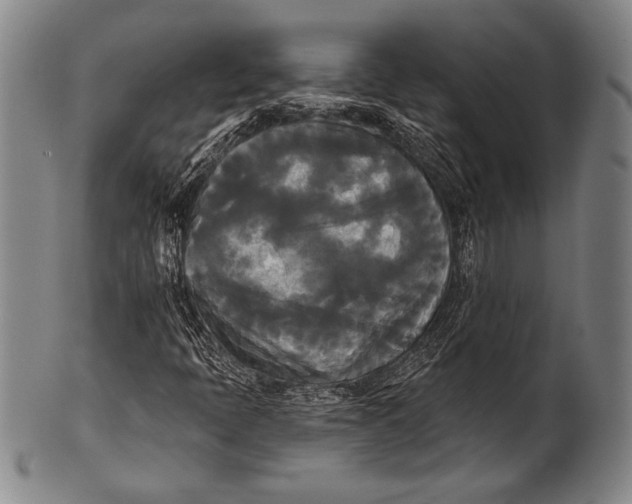 X0000100331397200806261250