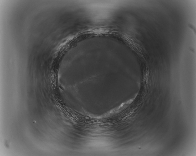 X0000100331398200806261250