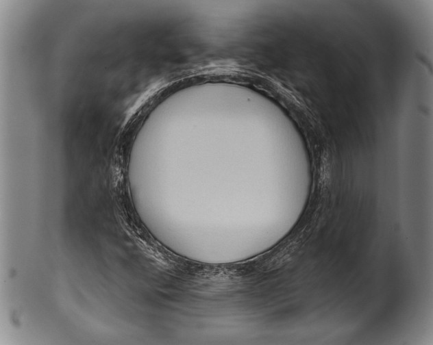 X0000100331400200806261250