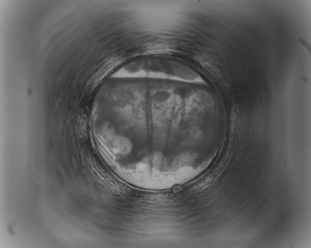 X0000100331401200806261250