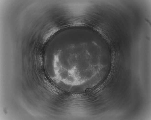 X0000100331402200806261250