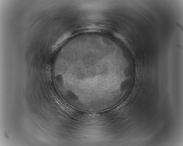 X0000100331403200806261250