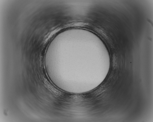 X0000100331404200806261250