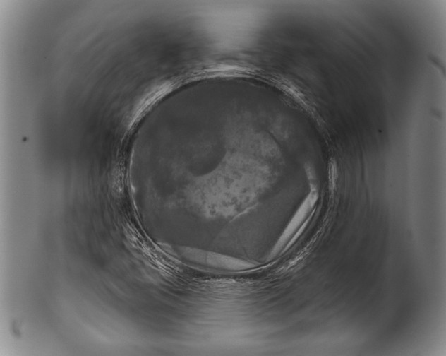 X0000100331405200806261251