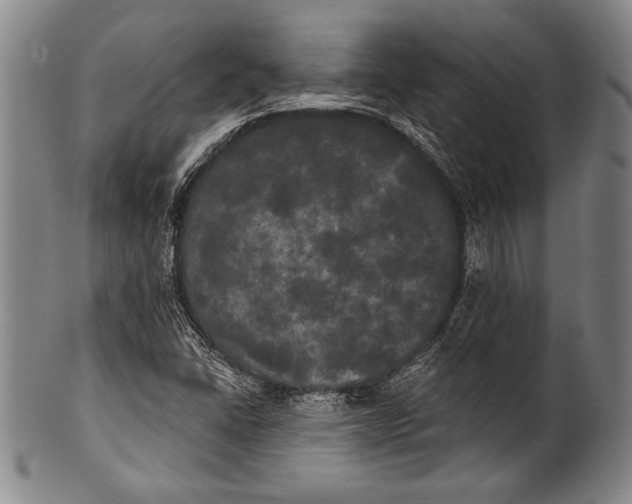 X0000100331406200806261251