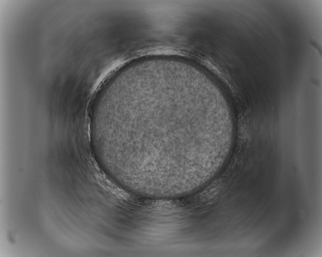 X0000100331408200806261251