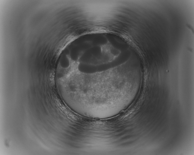 X0000100331409200806261251