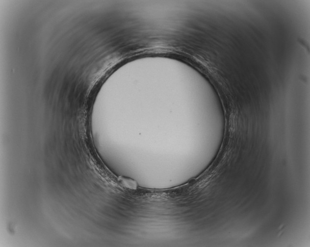 X0000100331410200806261251